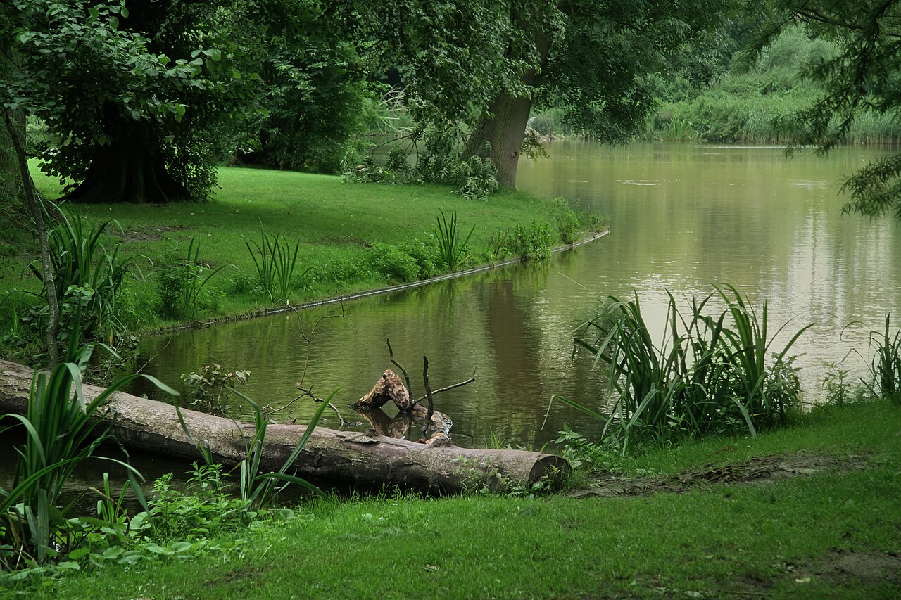 El estanque del Vondelpark, el parque más famoso de Ámsterdam.