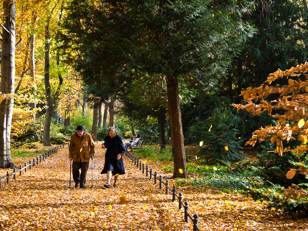 El Tiergarten, el gran parque urbano del centro de Berlín.