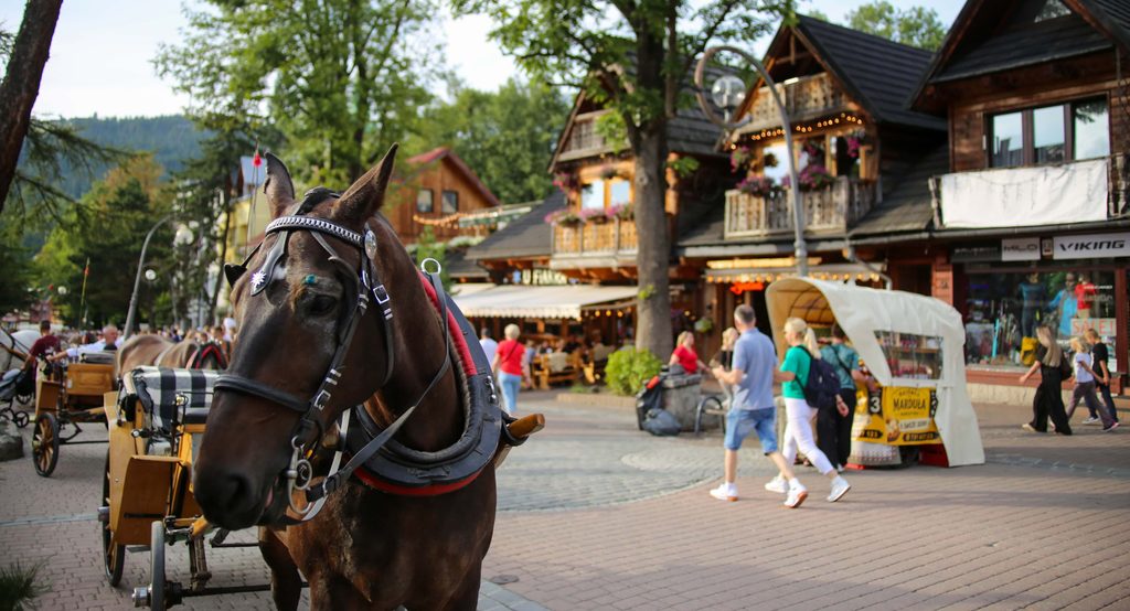 Zakopane y los montes Tatras, excursión desde Cracovia